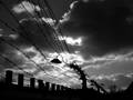 Stacheldrahtzaun mit Lampe und düsteren Wolken in schwarz/weiß. Dieses Bild entstand am 10.11.2006 im ehemaligen Konzentrationslager Auschwitz/Birkenau.