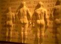 Wand im Hygienemuseum Dresden mit Abformungen von Körpern und Aussagen von Jugendlichen zu ihrer Sexualität